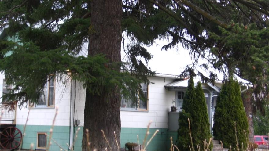 Front and West Elevation
