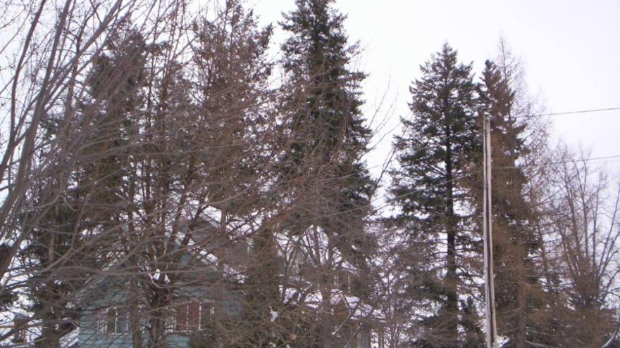 North Elevation